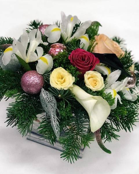 «Весна зимой»