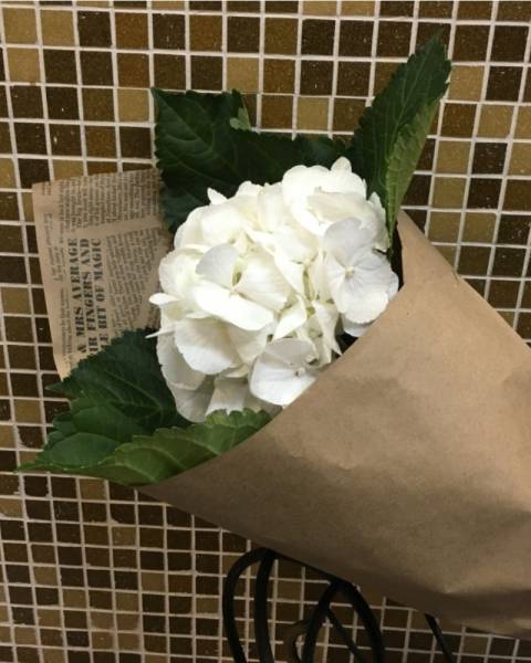 Букет «Гортензия» в крафтовой бумаге.