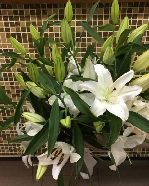 Букет «Лилия»