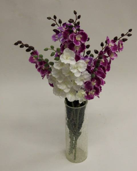 Орхидеи кустовые