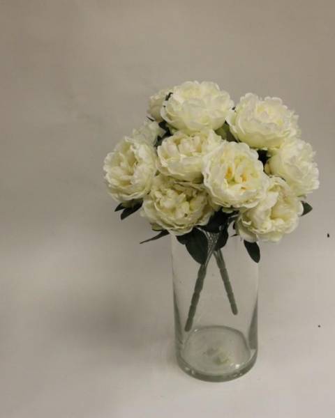 Махровые кустовые пионы