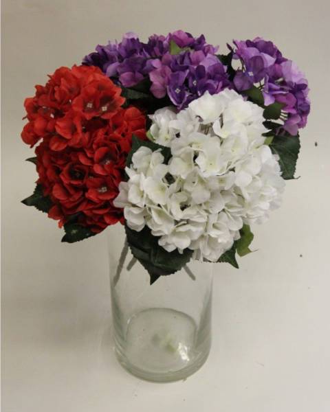 Пышные букеты кустовой гортензии