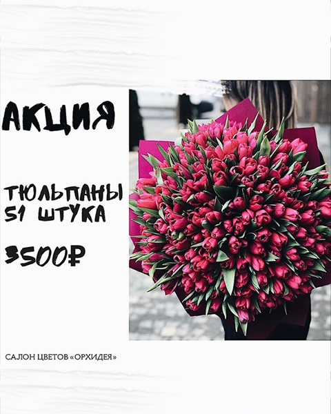 Акция! Тюльпаны (51 штука)