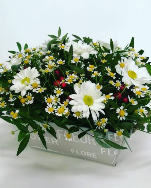 Композиция Ромашки