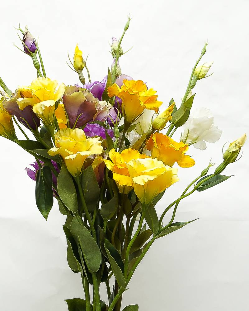 «Ветка Эустомы»