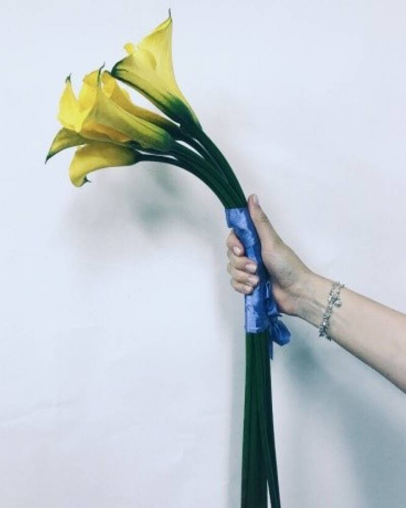 Букет из калл