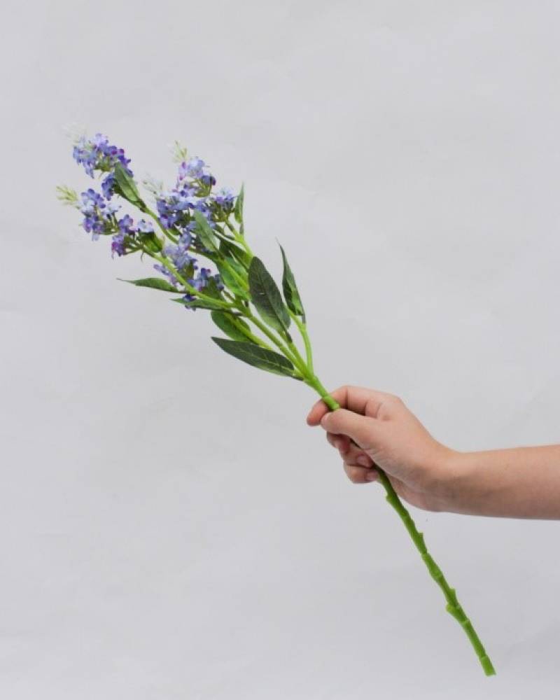 Ветка лаванды