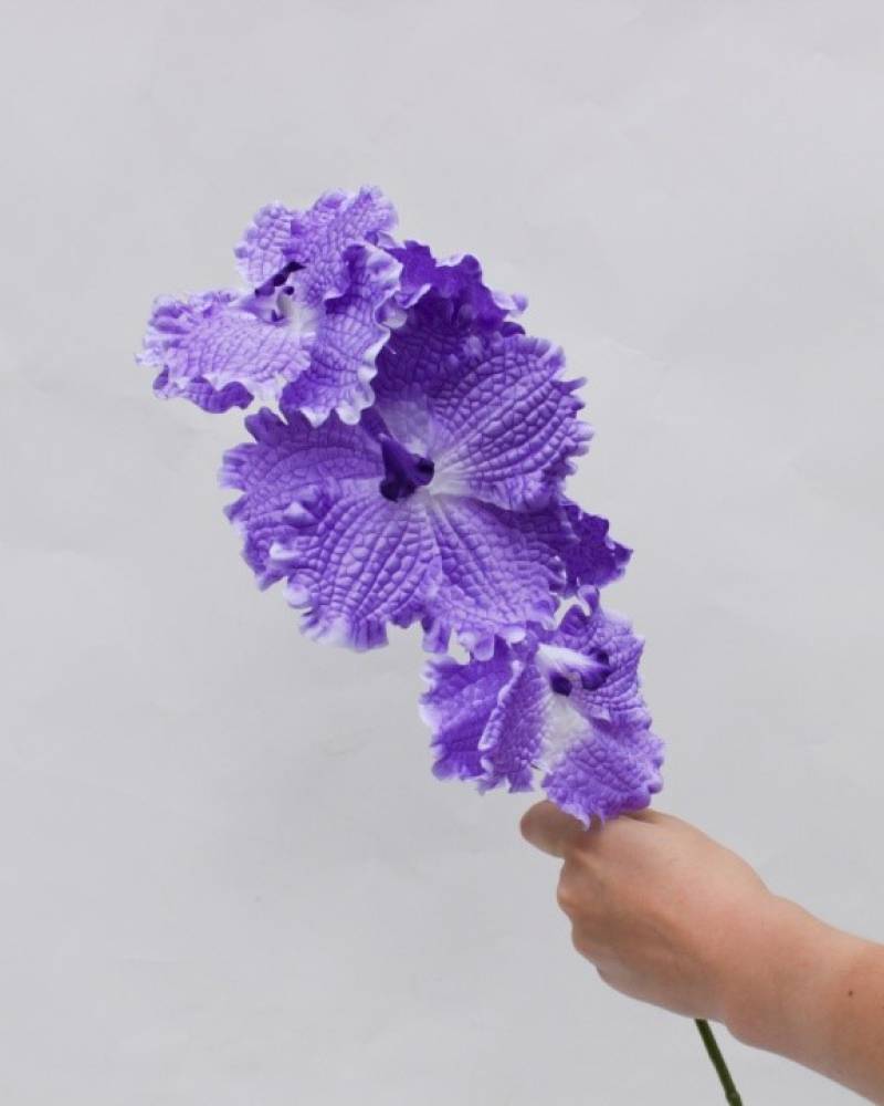 Ветка орхидеи «Ванда»