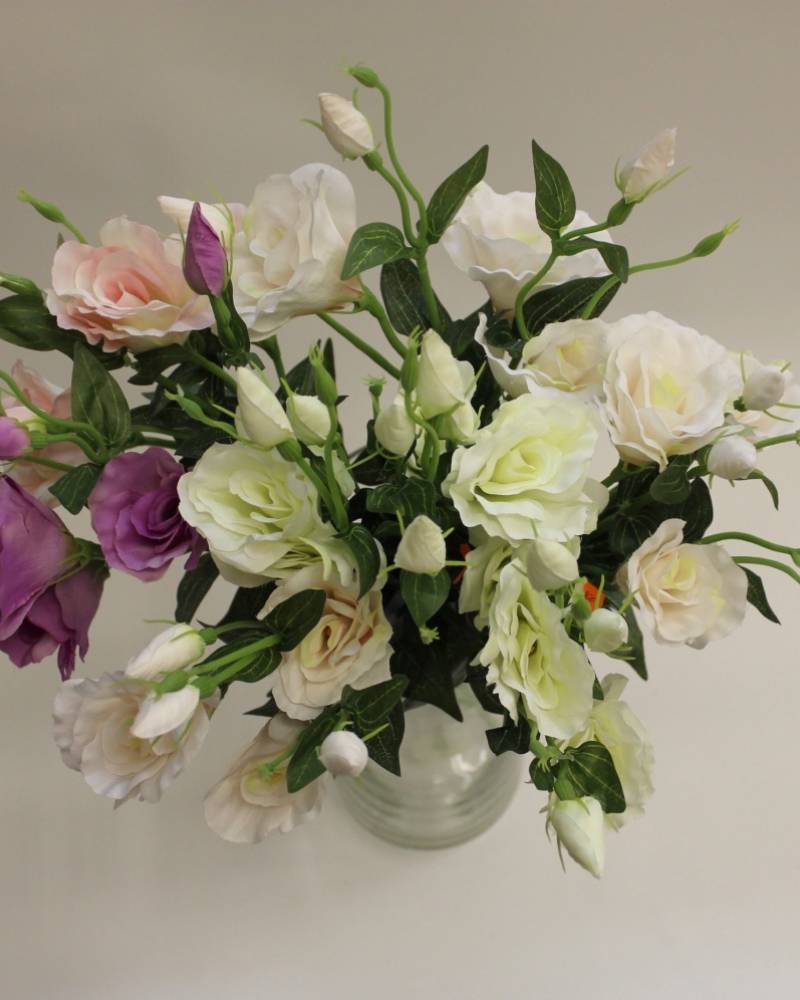 Лизиантусы