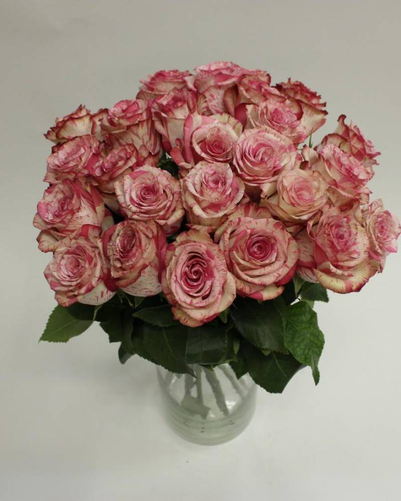 Букет из 25 роз №1 (50 см)