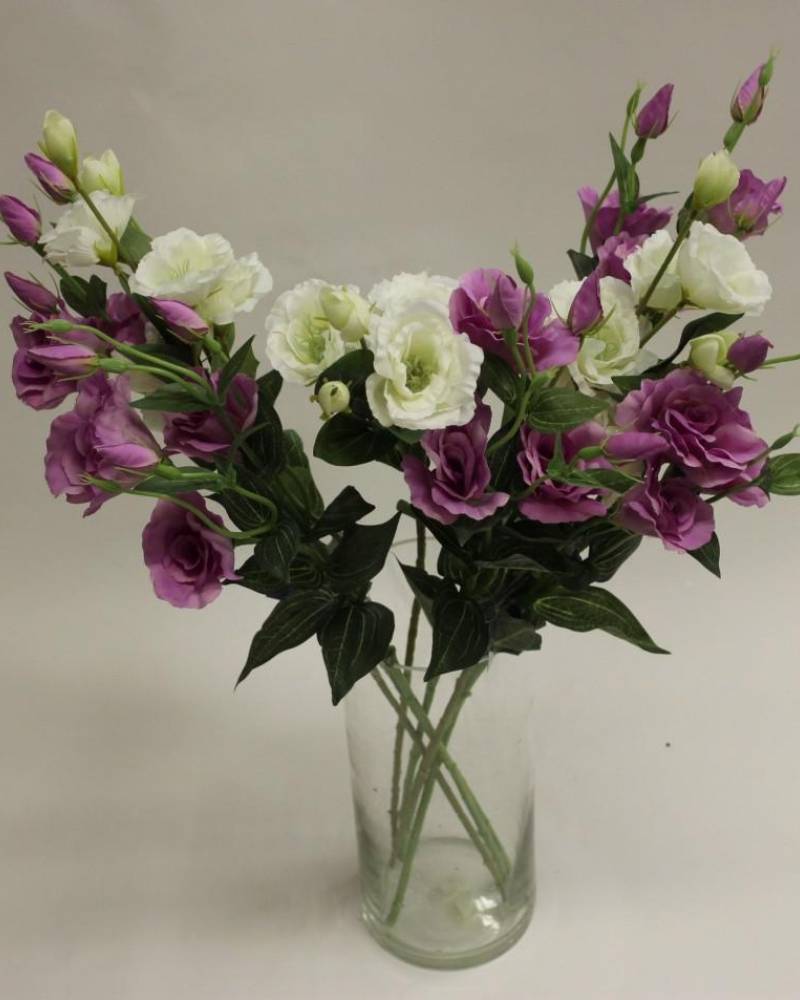 Ветви эустомы