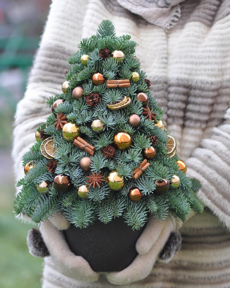 Декоративная елочка из живой стабилизированной хвои (ели) с новогодними украшениями (палочки корицы, звездочки кардамона, шишки, шарики)