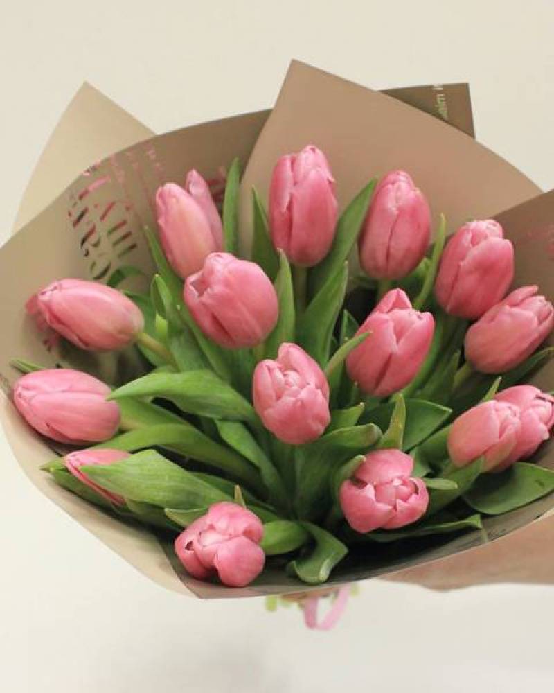 Акция 15 тюльпанов